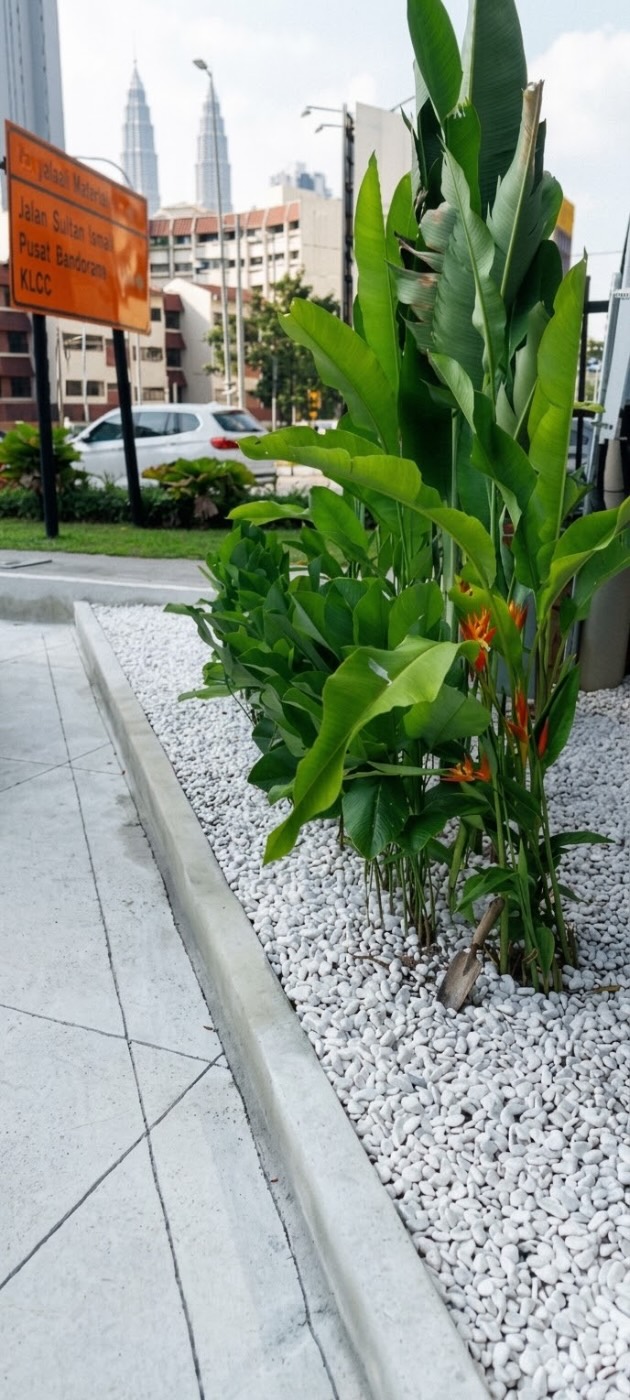 Roadside, Kuala Lumpur: Heliconias in a white pebble bed. Landscaping by 54 Weng Thye Nursery & Landscapes.
