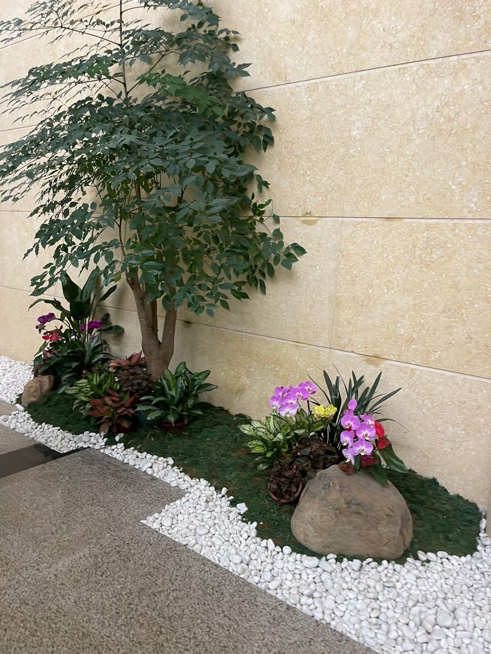 Office lobby: A tree, orchids and moss, edged with white pebbles. Landscaping by 54 Weng Thye Nursery & Landscapes.