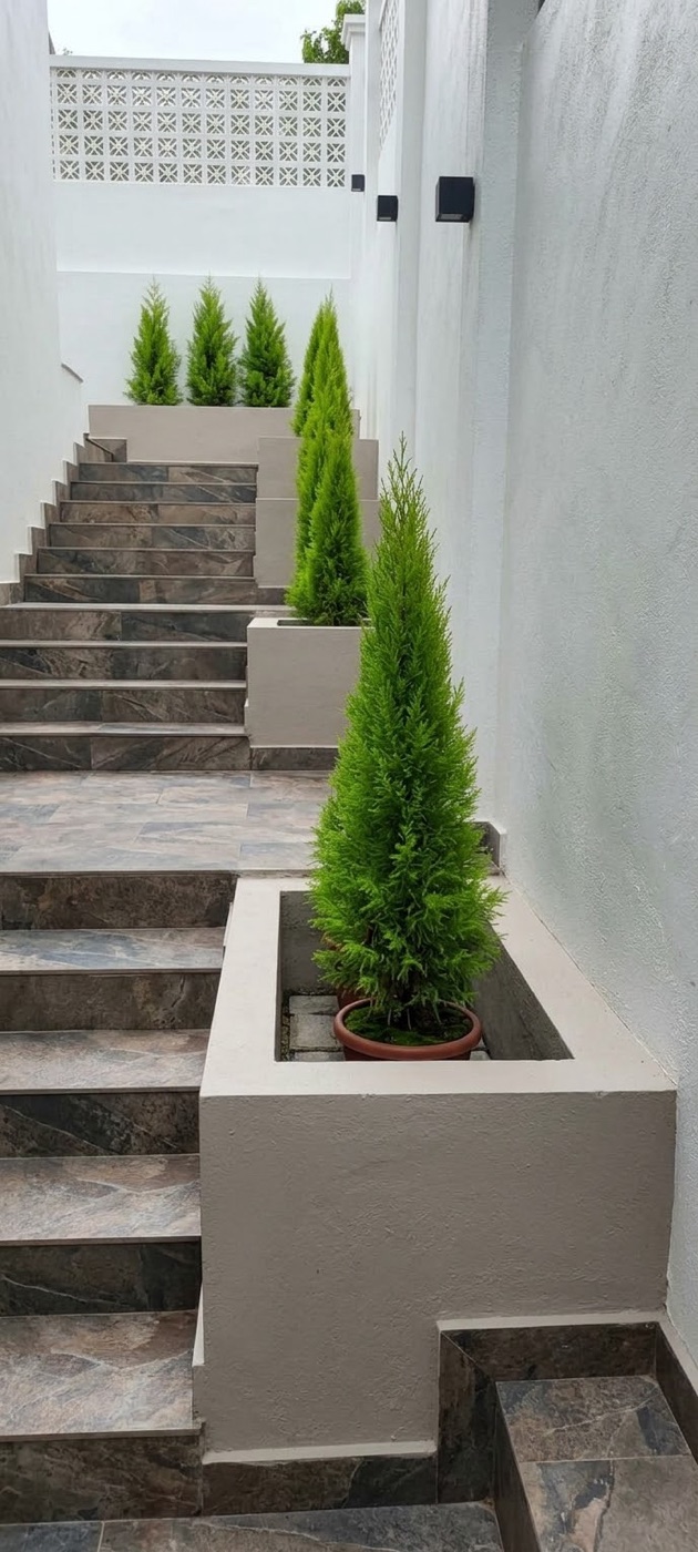 Outdoor staircase: Conifers in built-in planters up the stairs. Landscaping by 54 Weng Thye Nursery & Landscapes.